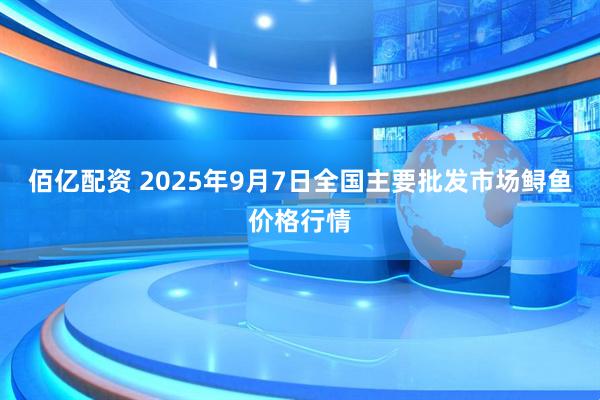 佰亿配资 2025年9月7日全国主要批发市场鲟鱼价格行情