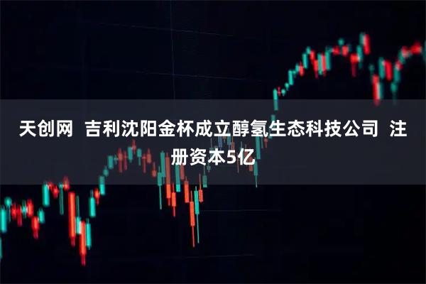 天创网  吉利沈阳金杯成立醇氢生态科技公司  注册资本5亿