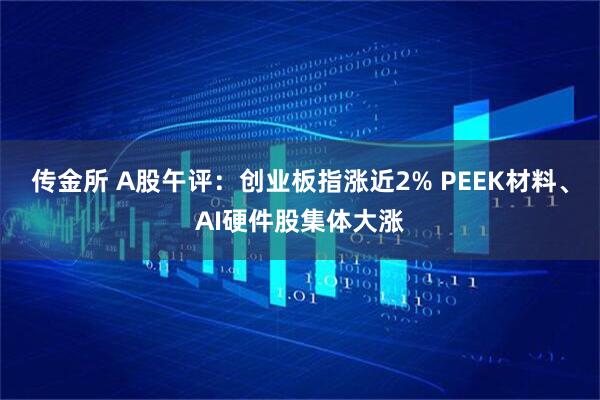 传金所 A股午评：创业板指涨近2% PEEK材料、AI硬件股集体大涨